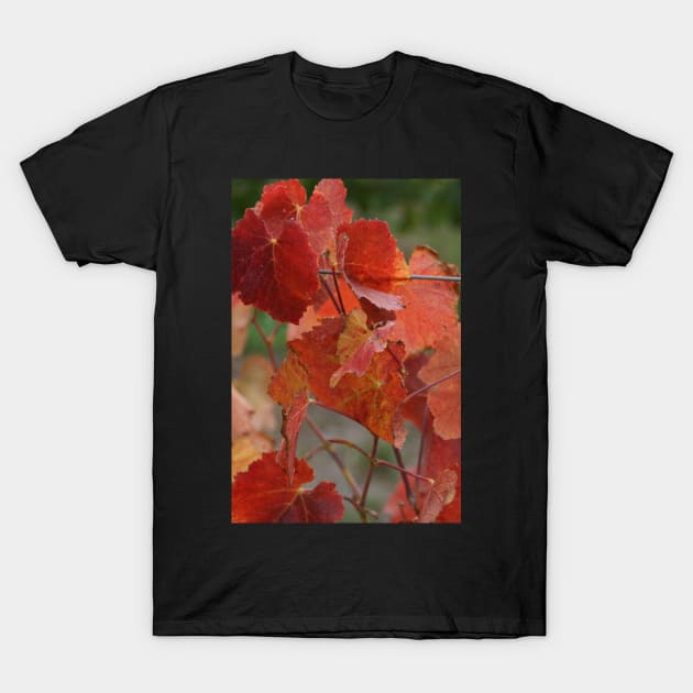 Autumnal Vine Leaves by Avril Thomas T-Shirt by MagpieSprings